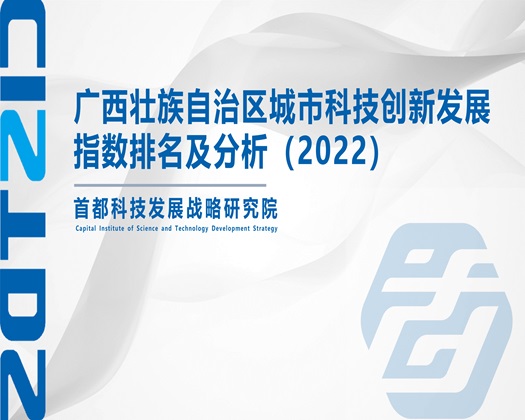 美女自扣阴道视频【成果发布】广西壮族自治区城市科技创新发展指数排名及分析（2022）